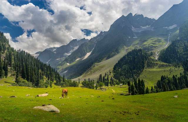476|KASHMIR 7 NIGHTS 8 DAYS | 2N SRINAGAR + 2N PAHALGAM + 1N GULMARG + 1N SONMARG + 1N HOUSEBOAT