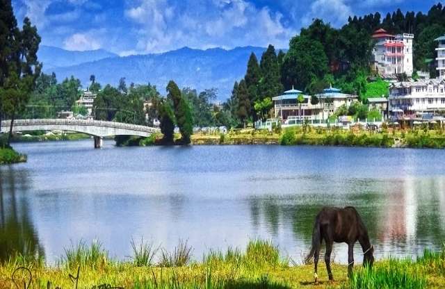 351|MIRIK- DARJEELING